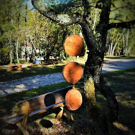 Semesterbostad & Nature *