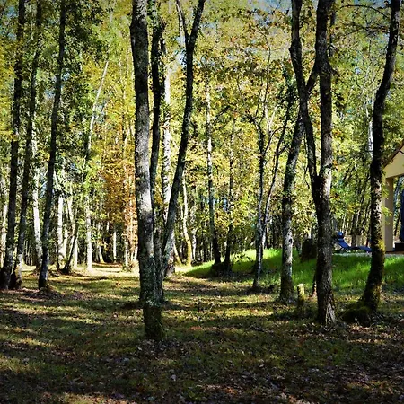 & Nature * Saint-Chamassy