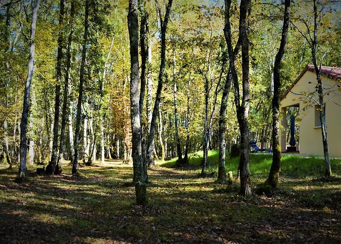 & Nature * Saint-Chamassy